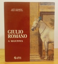 sintesi mantova usato sintesi mantova usato Mantova