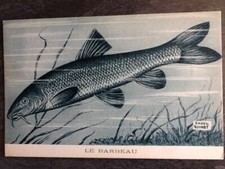 Illustrated signed raoul d'occasion  Expédié en Belgium