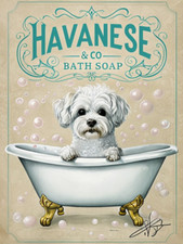 Havanese bath soap for sale  DUNSTABLE