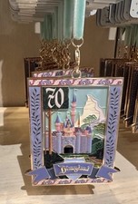 Disneyland 70th anniversary for sale  Barrington
