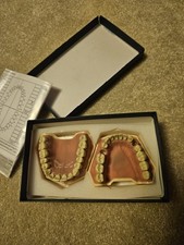 Frasaco dental jaw for sale  CARSHALTON