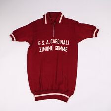 Maglia ciclismo vintage usato  Polla