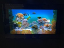 Ocean fish aquarium for sale  Killeen