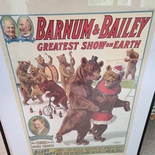 Pallenberg animal trainer for sale  Rock Island