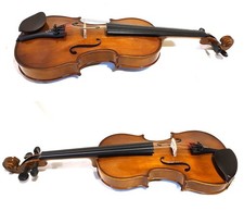 Stentor student violin for sale  Roswell