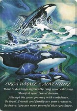 Orca whale spirit for sale  Colorado Springs