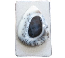 Dendriten pal dendrite gebraucht kaufen  Ering