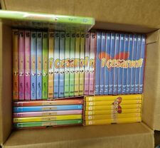 Dvd cesaroni stagione usato  Pesaro