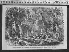 G375 gravure 1888 d'occasion  Amiens-