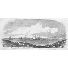 Portland dorset portion for sale  GLASGOW