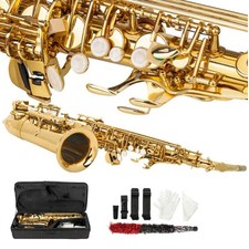 Professional saxophone sax for sale  Flanders