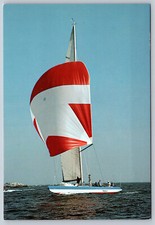Vtg postcard 1980 for sale  Whiting
