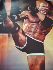 Various wrestling posters for sale  BARNSLEY