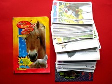 Panini 1997 pferde gebraucht kaufen  Deutschland