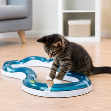 Gioco per gatti usato  Guidonia Montecelio