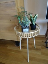 Depot rattan tablett gebraucht kaufen  Amerang