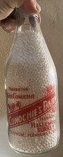 Superb rare conochie for sale  STANFORD-LE-HOPE