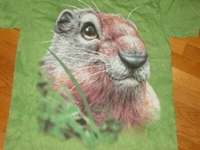 Cute groundhog day for sale  Coopersburg