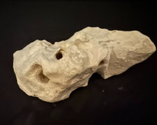 Texas limestone holey for sale  Worth