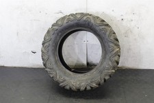 At27x9.00 tusk trilobite for sale  Grants Pass