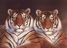 X20 art print for sale  Arlington