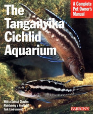 Lake tanganyika cichlid for sale  ROSSENDALE