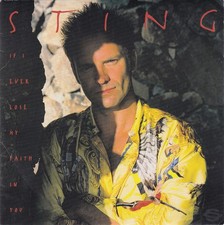 Sting ever lose gebraucht kaufen  Düsternort
