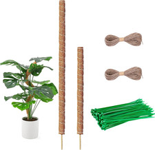 Pack moosstab monstera gebraucht kaufen  Altrip