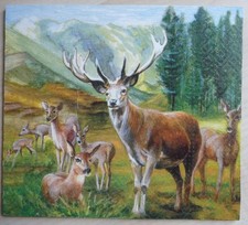 Deko hdf natur gebraucht kaufen  Berlin