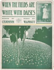 Fields white daisies for sale  Watervliet