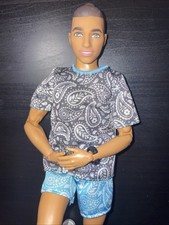 Barbie fashionistas 204 for sale  North Highlands