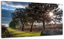 Quadro moderno paesaggio usato  Monopoli