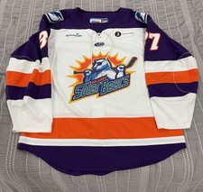 Orlando solar bears d'occasion  Expédié en Belgium