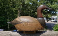 1920 canvasback drake for sale  Southampton