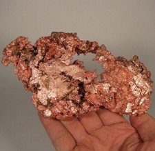 6.1 rough native for sale  Acworth