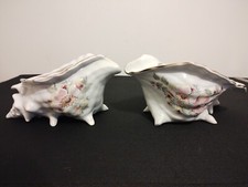 Pair maryleigh staffordshire for sale  SWANSEA