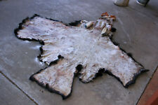 Shiras moose cape for sale  Monticello