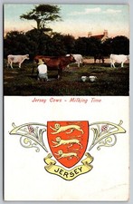 Postcard jersey cows for sale  Troy