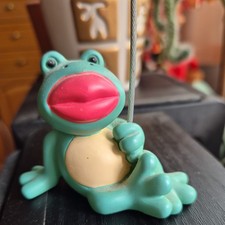 Frosch nici foto gebraucht kaufen  Oranienburg