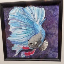Betta fish original for sale  Sanford