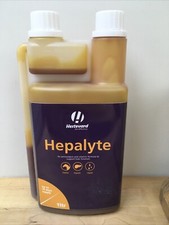 Hestevard hepalyte horses for sale  ROMSEY