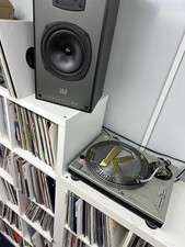 8x12 inch jungle for sale 8x12 inch jungle for sale  HORSHAM