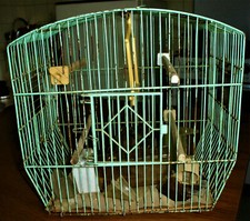 Gabbia uccelli vintage usato  Monfalcone