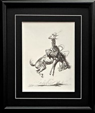 James cowboy riding for sale  Annandale