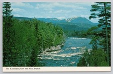 katahdin for sale katahdin for sale Spring