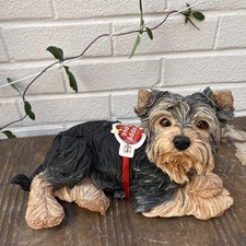 yorkie puppies for sale  BIRMINGHAM