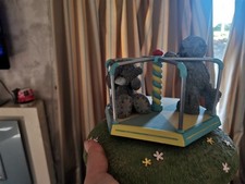 Limited edition tatty for sale  CULLOMPTON