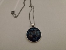 Halskette anhänger amulett gebraucht kaufen Halskette anhänger amulett gebraucht kaufen  Aschaffenburg