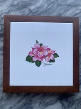 Greenbrier resort dorothy for sale  Dilliner