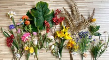 Große sammlung exklusiver gebraucht kaufen  Kelkheim